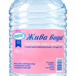 10 л. еднократен галон